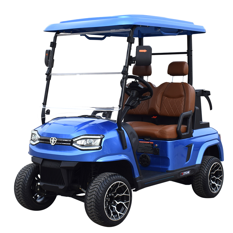 New Arrival 2 seater golf cart K2 blue